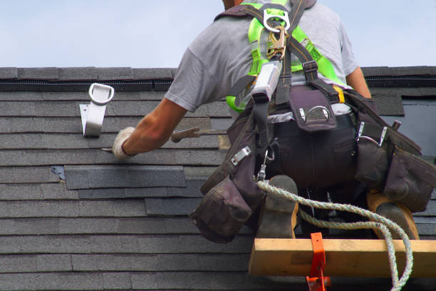 Best Roof Gutter Cleaning  in Bayou Lourse, LA