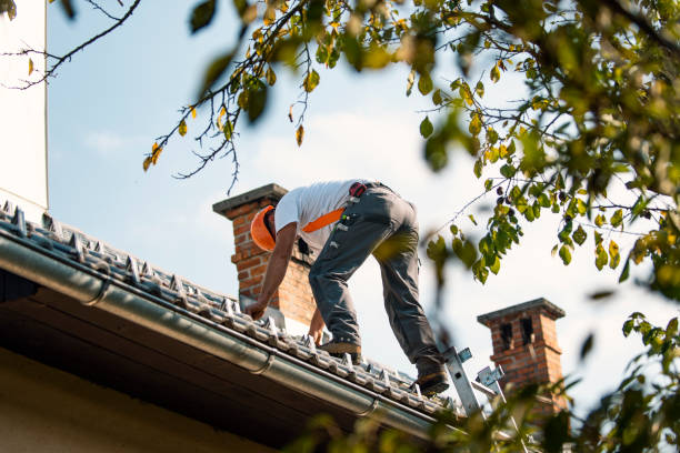 Best Roof Waterproofing Services  in Bayou Lourse, LA