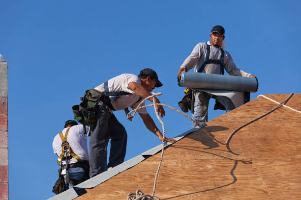 Best Local Roofing Companies  in Bayou Lourse, LA