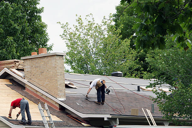 Professional Roofing Contractor in Bayou Lourse, LA