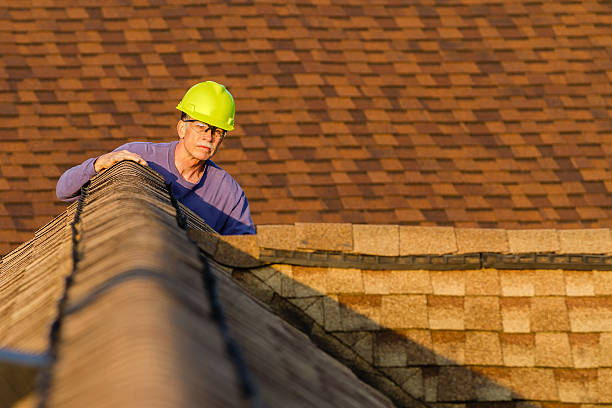 Best Gutter Installation and Roofing  in Bayou Lourse, LA