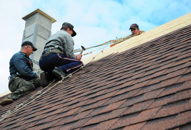 Roof Waterproofing Services in Bayou Lourse, LA